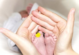 泰国杰特宁医院试管婴儿费用多少人民币