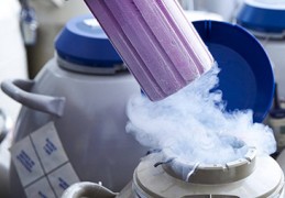 泰国杰特宁JETANIN生殖中心做试管婴儿要花很多钱