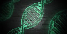2026年泰国第三代试管婴儿价格指南：做一次大概需要多少钱？